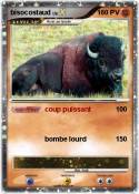 bisocostaud