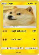 Doge