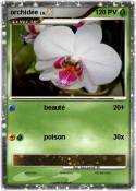 orchidée