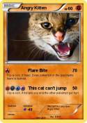 Angry Kitten