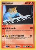keyboard cat
