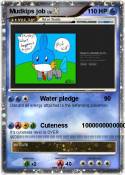 Mudkips job