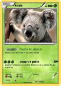 koala