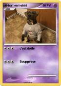 pit-bull en t-s