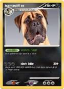 bulmastiff ex