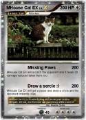 MHouse Cat EX