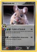 Souriceau ex