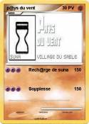 p@ys du vent