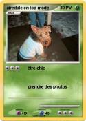 airedale en top