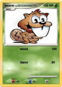 beaver