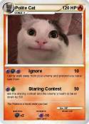Polite Cat