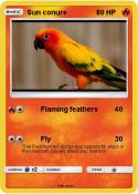 Sun conure