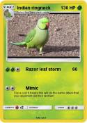 Indian ringneck