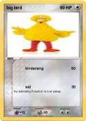 big bird