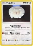 Pugiwillow