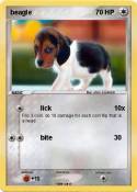 beagle