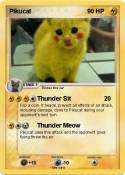 Pikucat