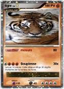 tigre