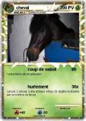 cheval