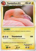 Thunderflore