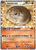 Hamsterosor