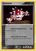 dry bowser 4