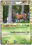 Bambi adulte