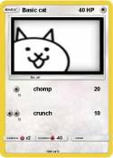 Basic cat