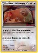 Flash de