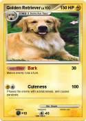 Golden Retrieve