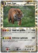Dark Tiger