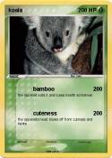 koala
