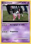 ou est Charlie