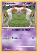 coeur de chien