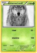 untamed wolf