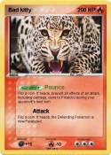 Bad kitty