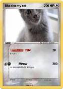 Blu aka my cat