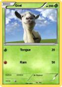 Goat