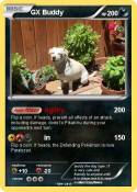 GX Buddy