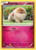 Cute dog
