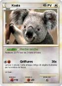 Koala