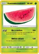 Koenwatermeloen5