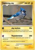 Lightning Jay