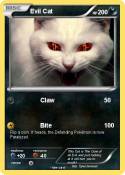 Evil Cat