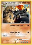 Angry cat