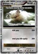 grumpy cat