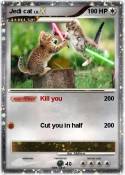 Jedi cat