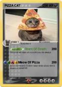 PIZZA CAT