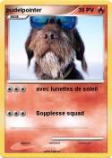 pudelpointer