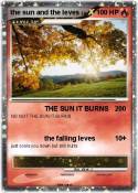 the sun and